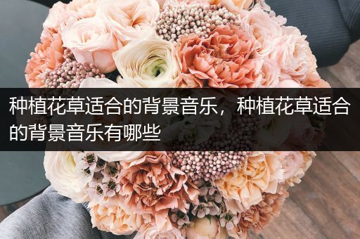 种植花草适合的背景音乐，种植花草适合的背景音乐有哪些