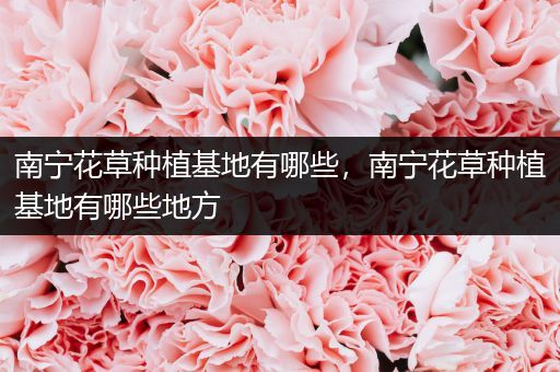 南宁花草种植基地有哪些，南宁花草种植基地有哪些地方
