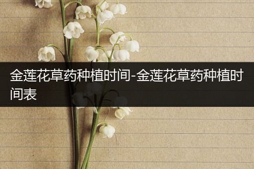 金莲花草药种植时间-金莲花草药种植时间表