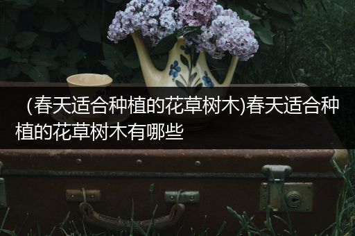（春天适合种植的花草树木)春天适合种植的花草树木有哪些