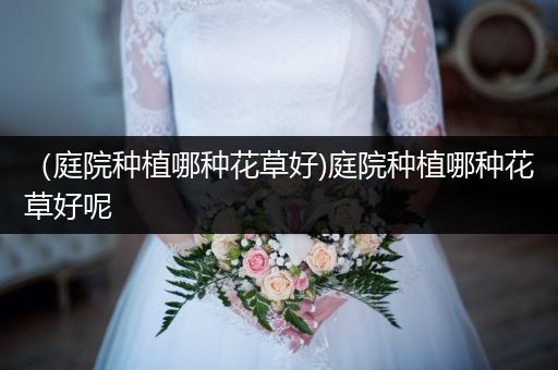 （庭院种植哪种花草好)庭院种植哪种花草好呢