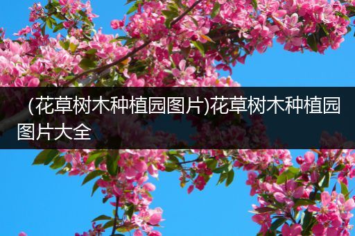 （花草树木种植园图片)花草树木种植园图片大全
