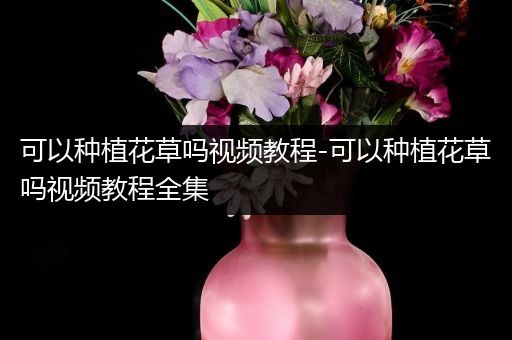 可以种植花草吗视频教程-可以种植花草吗视频教程全集