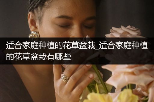 适合家庭种植的花草盆栽_适合家庭种植的花草盆栽有哪些