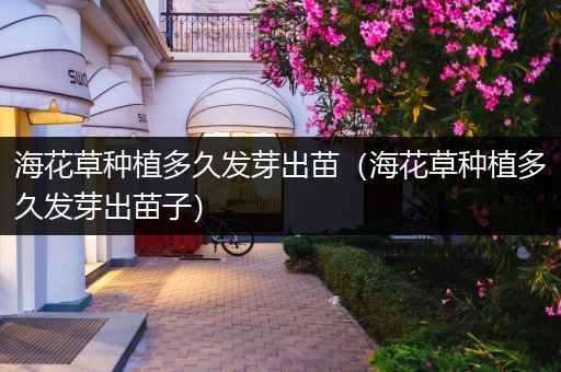 海花草种植多久发芽出苗（海花草种植多久发芽出苗子）