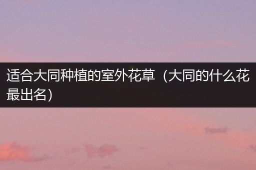 适合大同种植的室外花草（大同的什么花最出名）