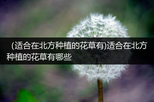 （适合在北方种植的花草有)适合在北方种植的花草有哪些