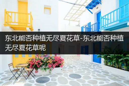 东北能否种植无尽夏花草-东北能否种植无尽夏花草呢