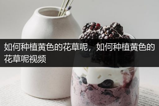如何种植黄色的花草呢，如何种植黄色的花草呢视频