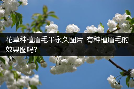 花草种植眉毛半永久图片-有种植眉毛的效果图吗?