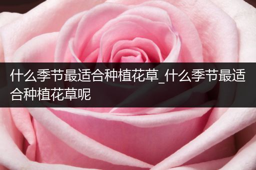 什么季节最适合种植花草_什么季节最适合种植花草呢