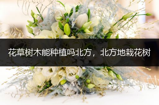 花草树木能种植吗北方，北方地栽花树