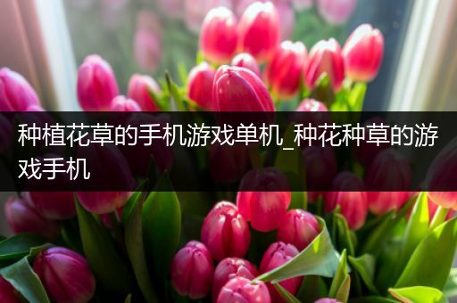 种植花草的手机游戏单机_种花种草的游戏手机
