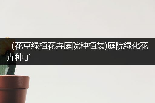 （花草绿植花卉庭院种植袋)庭院绿化花卉种子