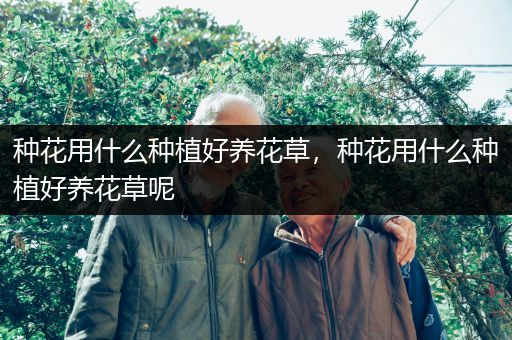 种花用什么种植好养花草，种花用什么种植好养花草呢