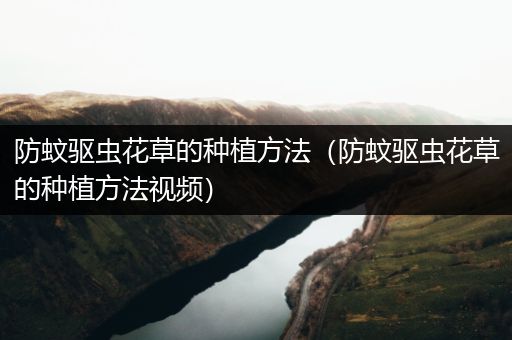 防蚊驱虫花草的种植方法（防蚊驱虫花草的种植方法视频）