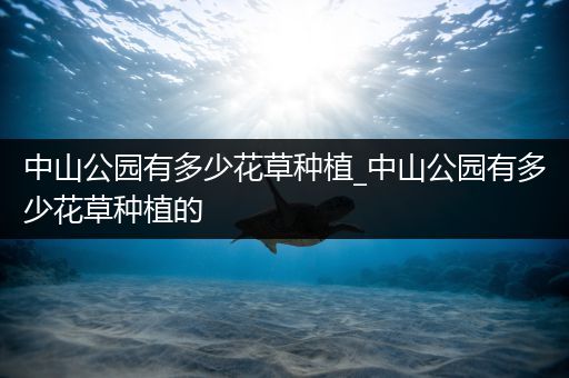 中山公园有多少花草种植_中山公园有多少花草种植的