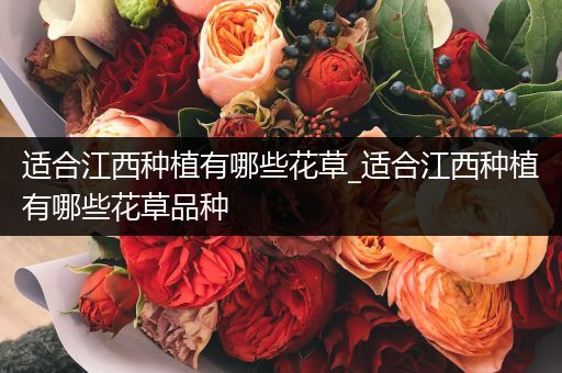 适合江西种植有哪些花草_适合江西种植有哪些花草品种