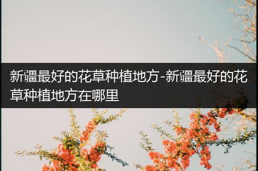 新疆最好的花草种植地方-新疆最好的花草种植地方在哪里