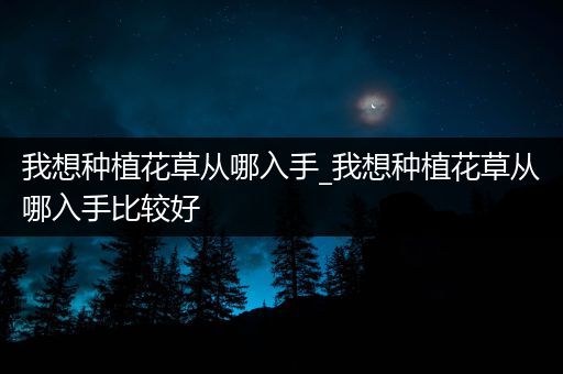 我想种植花草从哪入手_我想种植花草从哪入手比较好