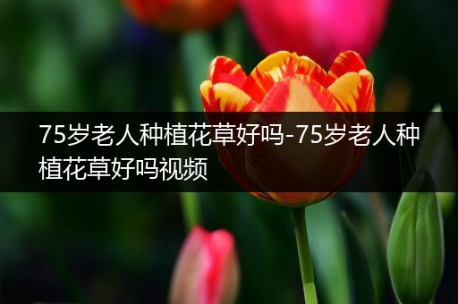 75岁老人种植花草好吗-75岁老人种植花草好吗视频