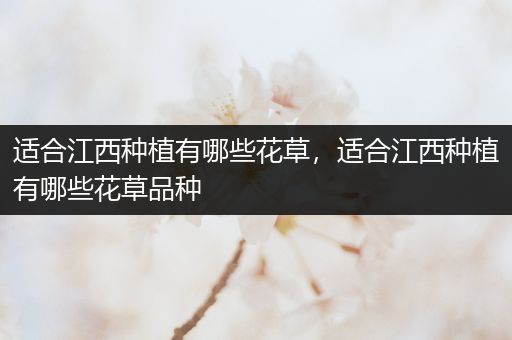适合江西种植有哪些花草，适合江西种植有哪些花草品种