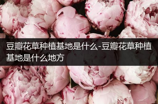 豆瓣花草种植基地是什么-豆瓣花草种植基地是什么地方
