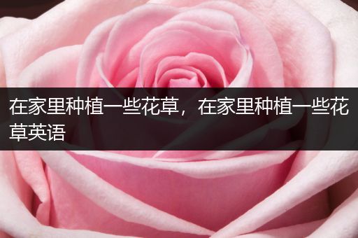 在家里种植一些花草，在家里种植一些花草英语