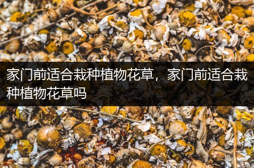 家门前适合栽种植物花草，家门前适合栽种植物花草吗
