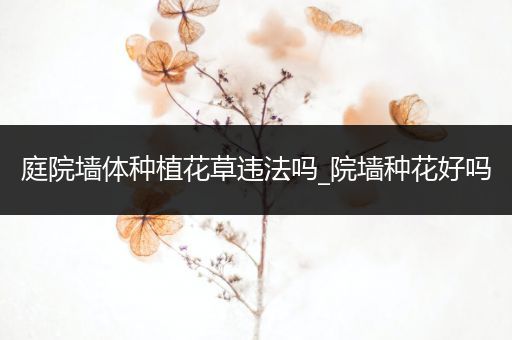 庭院墙体种植花草违法吗_院墙种花好吗