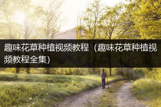 趣味花草种植视频教程（趣味花草种植视频教程全集）