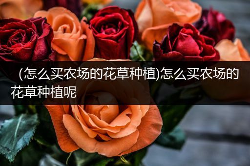 （怎么买农场的花草种植)怎么买农场的花草种植呢
