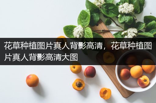 花草种植图片真人背影高清，花草种植图片真人背影高清大图