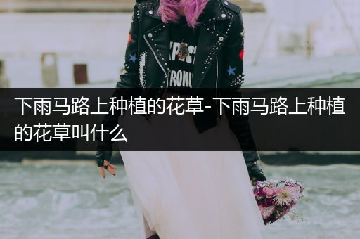 下雨马路上种植的花草-下雨马路上种植的花草叫什么