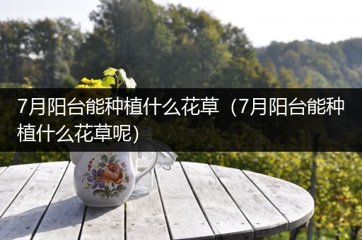 7月阳台能种植什么花草（7月阳台能种植什么花草呢）