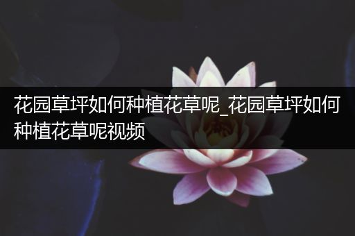 花园草坪如何种植花草呢_花园草坪如何种植花草呢视频