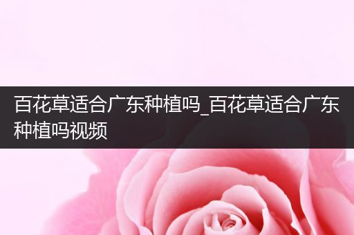 百花草适合广东种植吗_百花草适合广东种植吗视频