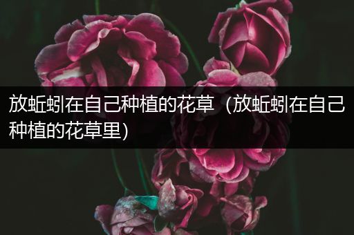 放蚯蚓在自己种植的花草（放蚯蚓在自己种植的花草里）
