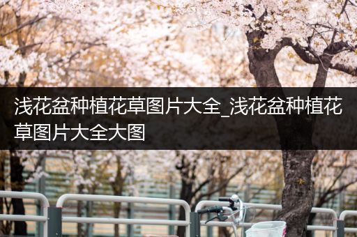 浅花盆种植花草图片大全_浅花盆种植花草图片大全大图