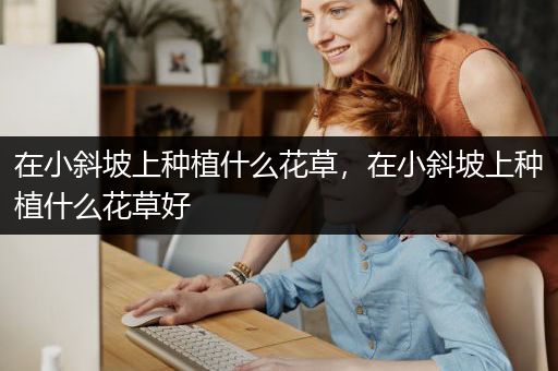 在小斜坡上种植什么花草，在小斜坡上种植什么花草好