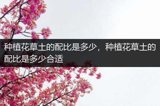 种植花草土的配比是多少，种植花草土的配比是多少合适