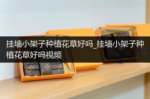 挂墙小架子种植花草好吗_挂墙小架子种植花草好吗视频