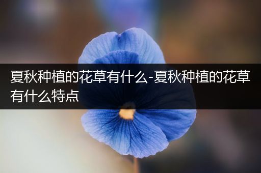 夏秋种植的花草有什么-夏秋种植的花草有什么特点