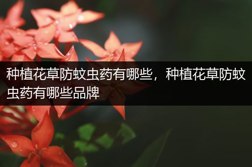 种植花草防蚊虫药有哪些，种植花草防蚊虫药有哪些品牌