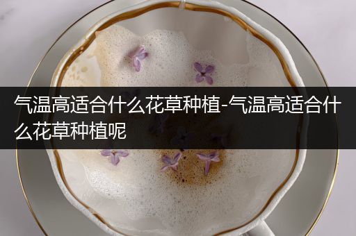气温高适合什么花草种植-气温高适合什么花草种植呢