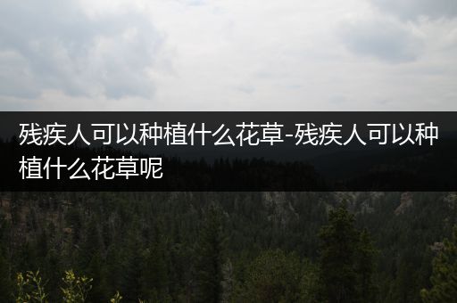 残疾人可以种植什么花草-残疾人可以种植什么花草呢
