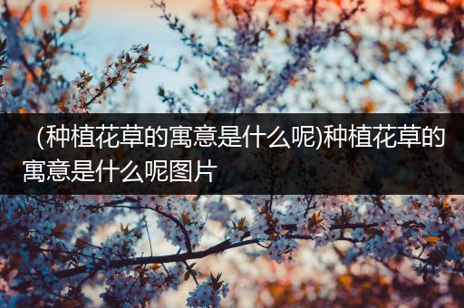 （种植花草的寓意是什么呢)种植花草的寓意是什么呢图片