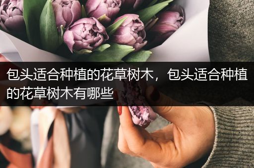 包头适合种植的花草树木，包头适合种植的花草树木有哪些