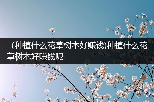 （种植什么花草树木好赚钱)种植什么花草树木好赚钱呢