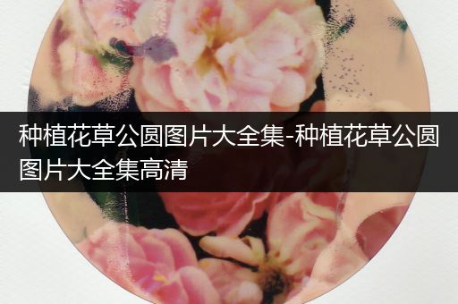 种植花草公圆图片大全集-种植花草公圆图片大全集高清